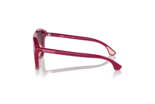 Zijaanzicht Burberry JB4003U (413187)