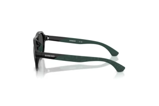 Zijaanzicht Burberry JB4005U (300187)