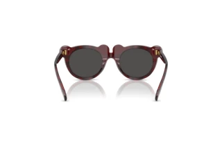 Achteraanzicht Burberry JB4355 (411587)