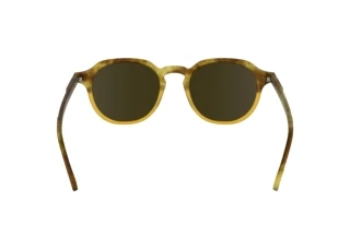 Achteraanzicht Calvin Klein CK24538S (255)
