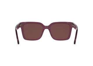 Achteraanzicht Calvin Klein CKJ26301S (208)