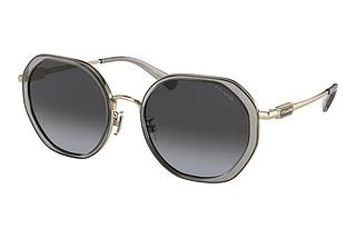 Coach CD477 HC 7141 90058G