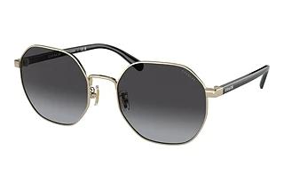 Coach HC7147 90058G Grey GradientShiny Light Gold