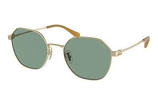 Coach HC7155 900582 Green SolidLight Gold