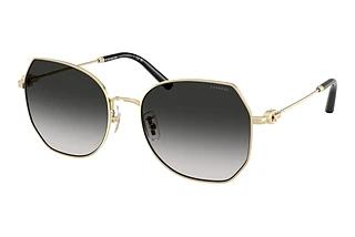 Coach HC7175 90053C Grey GradientShiny Light Gold