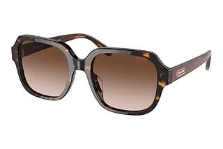 Coach HC8335U 512013 Brown GradientDark Tortoise