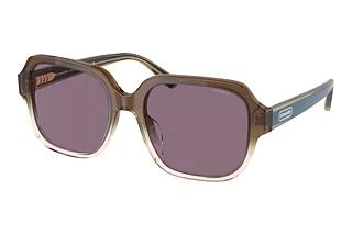 Coach HC8335U 56781A Violet SolidTransparent Brown Gradient