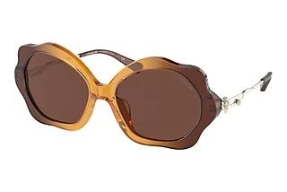 Coach HC8346BU 57016G Smoke SolidGradient Transparent Amber