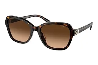 Coach CD481 HC 8349U 512074