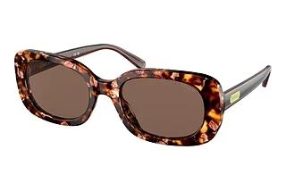 Coach CD471 HC 8358U 571173