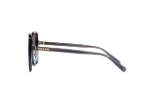 Zijaanzicht Coach CH572 (HC8368D - 575348)