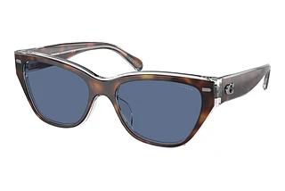 Coach HC8370U 574280 Blue SolidTortoise/Transparent Beige