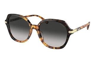 Coach HC8377U 577613 Grey GradientHoney Tortoise Black Gradient
