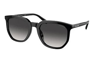 Coach HC8384U 50028G Grey GradientBlack