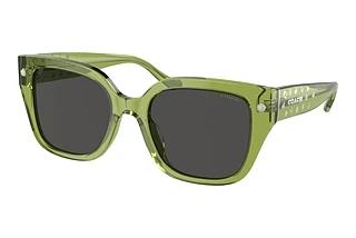 Coach HC8392U 581087 Grey SolidTransparent Key Lime