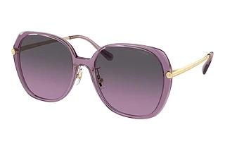 Coach HC8403D 582590 Grey Purple GradientTransparent Purple