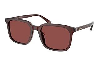 Coach CW405 HC 8411U 585075
