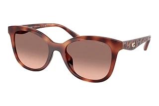 Coach CAD25 HC 8419U 577413