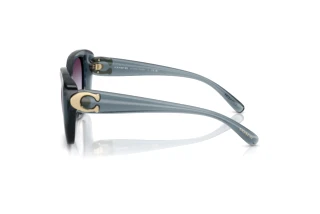 Zijaanzicht Coach CAD33 (HC8422U - 5871U7)