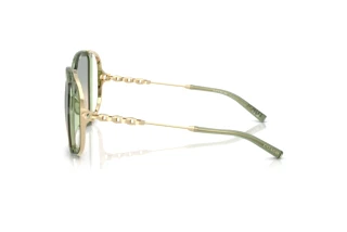 Zijaanzicht Coach CAD80 (HC8423U - 58902C)