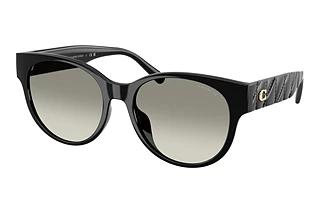 Coach HC8430D 50023C Grey GradientBlack