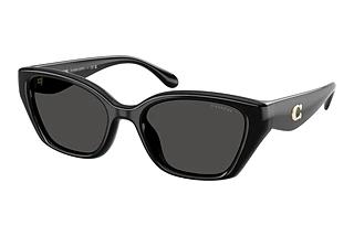 Coach HC8434U 500287 Grey SolidBlack