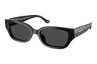 Coach HC8439U 500287 Grey SolidBlack