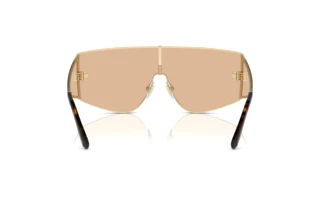 Achteraanzicht Dolce & Gabbana DG2305 (13655A)