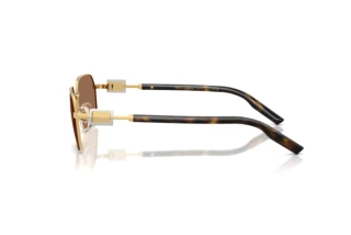 Zijaanzicht Dolce & Gabbana DG2316 (02/73)
