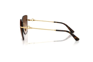Zijaanzicht Dolce & Gabbana DG2321 (02/13)