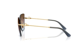 Zijaanzicht Dolce & Gabbana DG2321 (02/48)