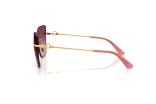 Zijaanzicht Dolce & Gabbana DG2321 (02/8D)