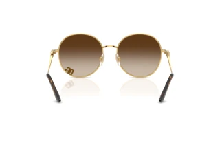 Achteraanzicht Dolce & Gabbana DG2324 (02/13)