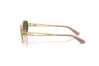 Zijaanzicht Dolce & Gabbana DG2338 (02/03)