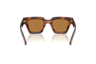 Achteraanzicht Dolce & Gabbana DG4413 (306373)