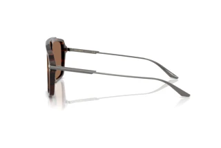 Zijaanzicht Dolce & Gabbana DG4477 (502/73)