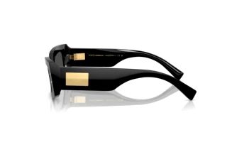 Zijaanzicht Dolce & Gabbana DG4479 (501/87)