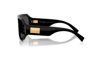 Zijaanzicht Dolce & Gabbana DG4481 (501/87)