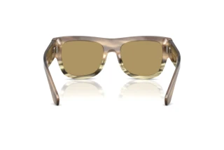 Achteraanzicht Dolce & Gabbana DG4484 (3439/2)