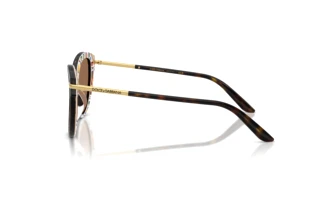 Zijaanzicht Dolce & Gabbana DG4492 (321713)