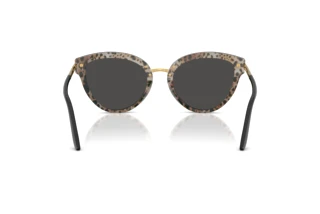 Achteraanzicht Dolce & Gabbana DG4492 (32998G)