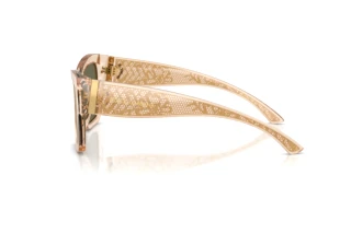Zijaanzicht Dolce & Gabbana DG4493 (343203)
