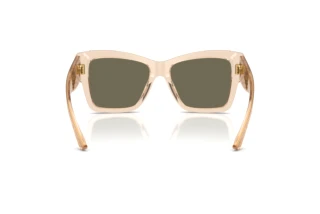 Achteraanzicht Dolce & Gabbana DG4493 (343203)