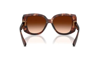 Achteraanzicht Dolce & Gabbana DG4495 (322274)