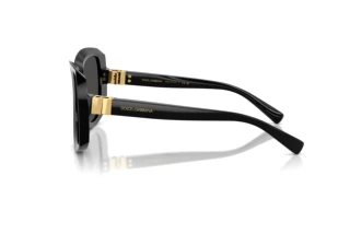 Zijaanzicht Dolce & Gabbana DG4495 (501/87)