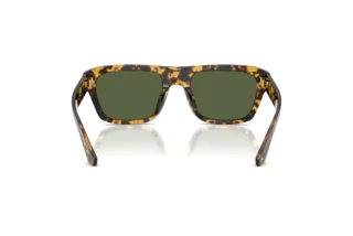 Achteraanzicht Dolce & Gabbana DG4496 (333071)