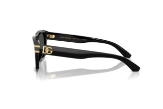 Zijaanzicht Dolce & Gabbana DG4496 (501/87)