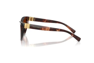 Zijaanzicht Dolce & Gabbana DG4497 (322274)