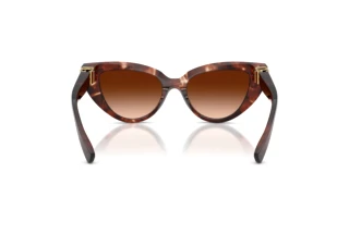 Achteraanzicht Dolce & Gabbana DG4497 (322274)