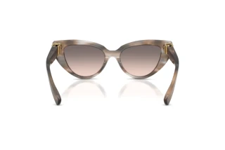 Achteraanzicht Dolce & Gabbana DG4497 (34493B)